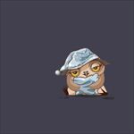 猫头鹰图片