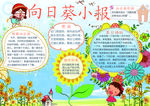 向日葵小报
