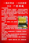 一抹倾城