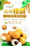 桂圆