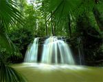 绿色唯美背景 绿色清新底图