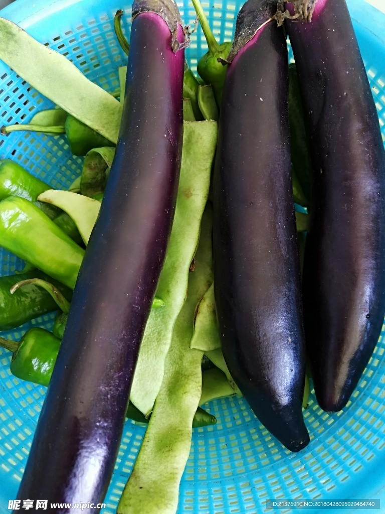 青菜
