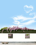 紫藤花复古围墙背景