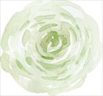 彩绘花卉花束