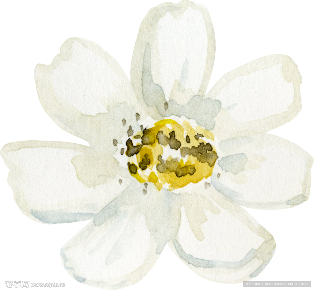 彩绘花卉花束