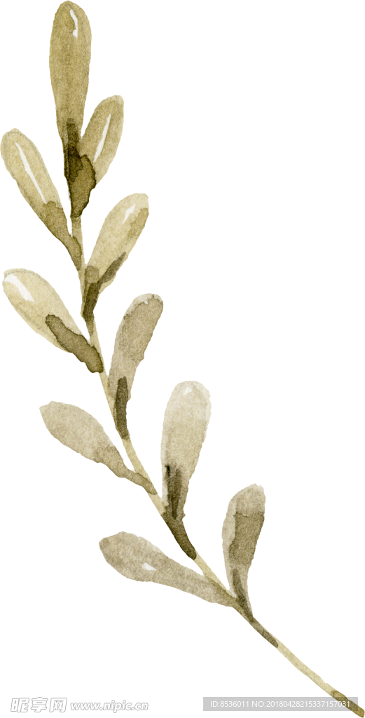 彩绘花卉花束