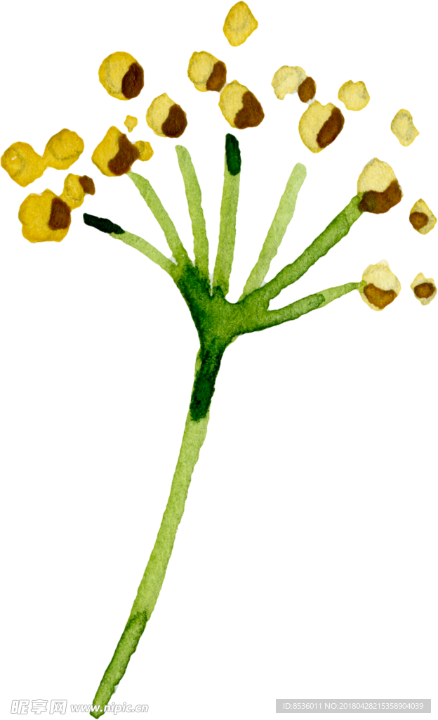 彩绘花卉花束