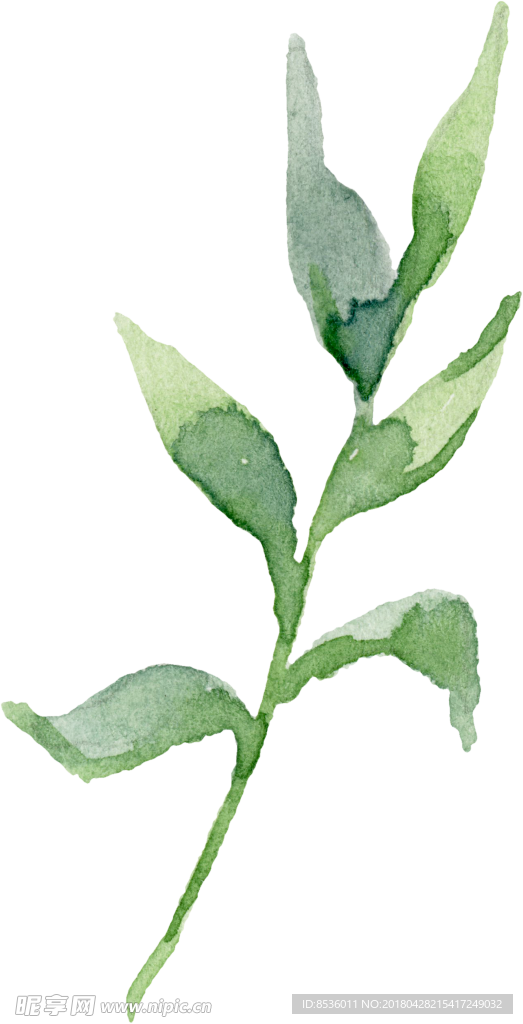 彩绘花卉花束