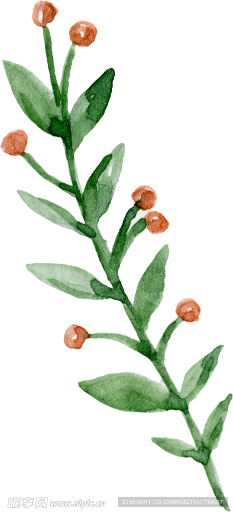 彩绘花卉花束