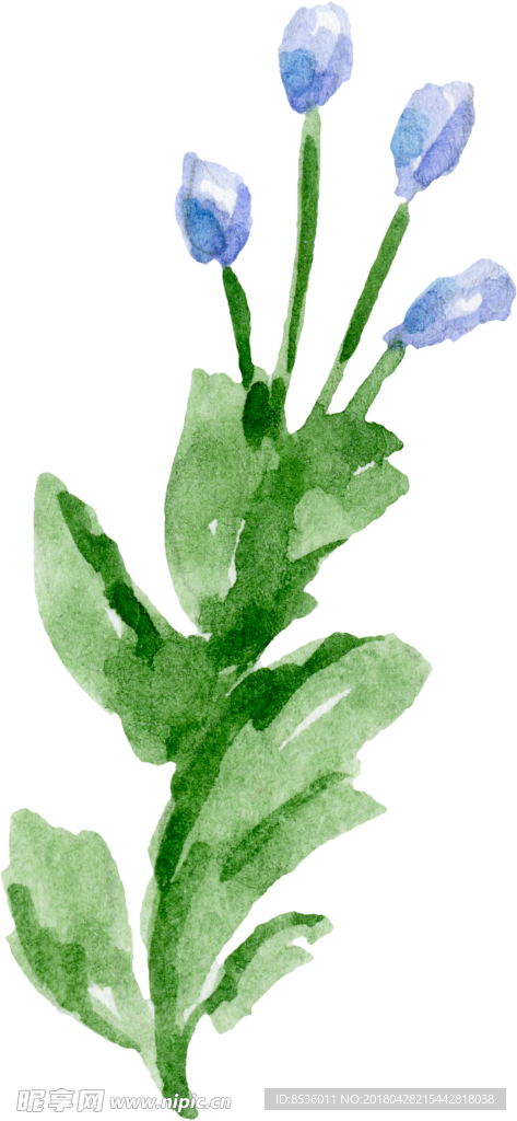 彩绘花卉花束
