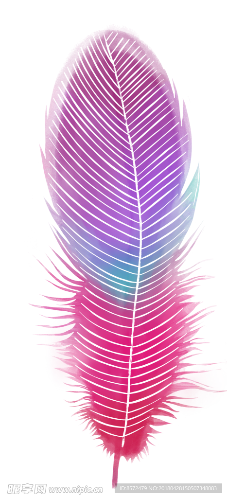 羽毛