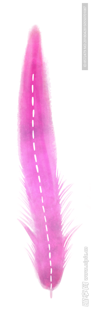 水彩羽毛