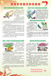扶贫政策