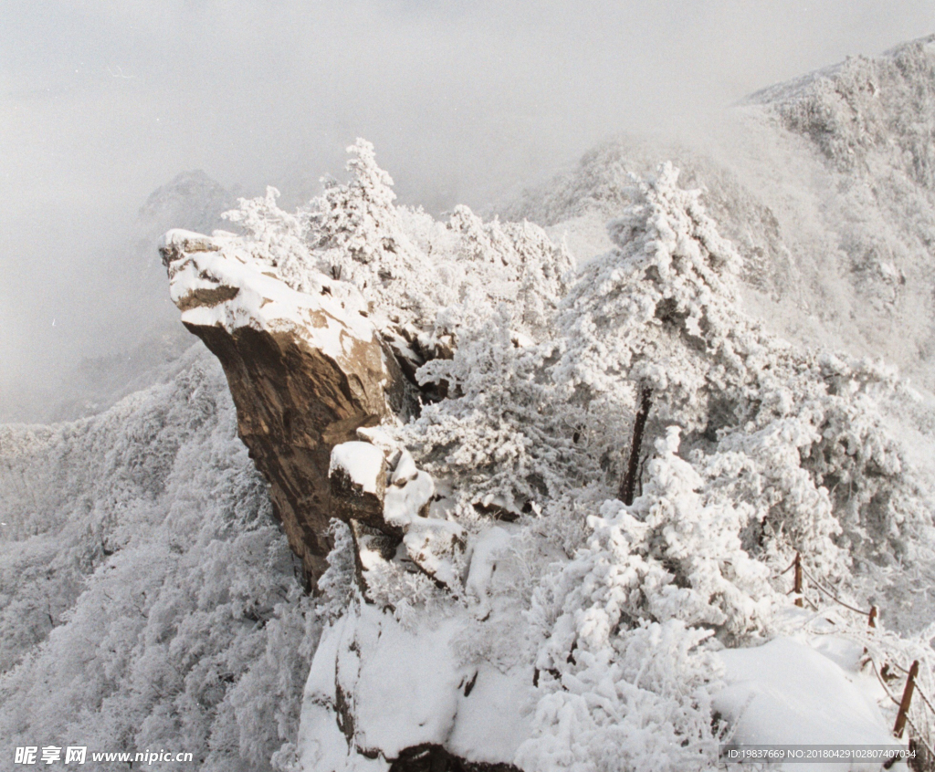 伏牛瑞雪
