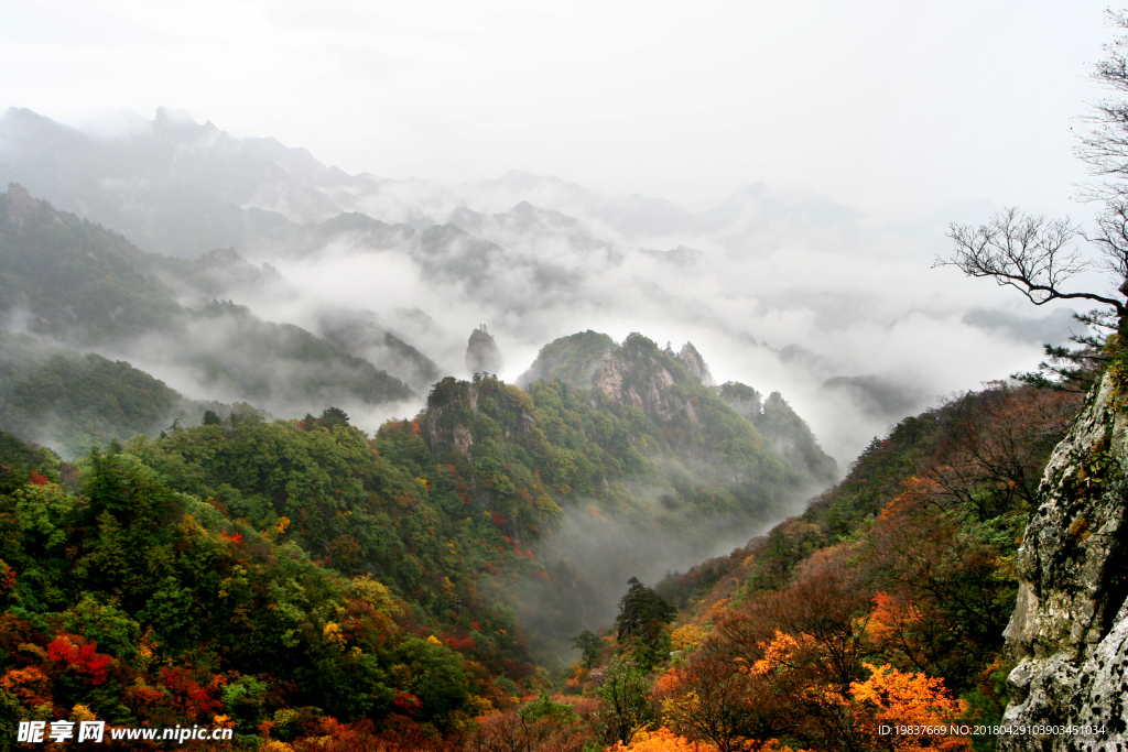云雾山