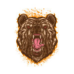 熊logo
