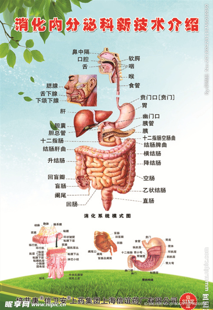 消化内分泌科新技术介绍