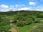 田园风光