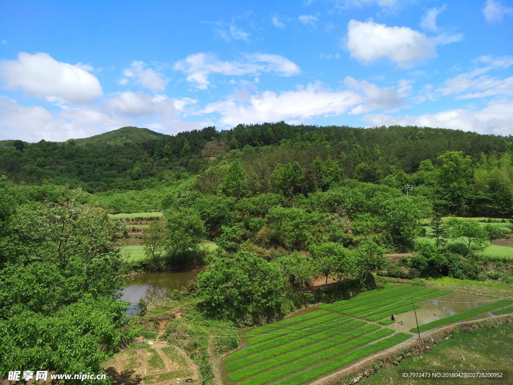 田园风光