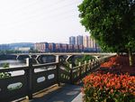 城市园林