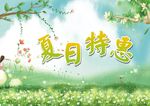 夏日特惠