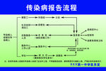 传染病报告流程