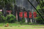 武夷山