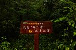 武夷山