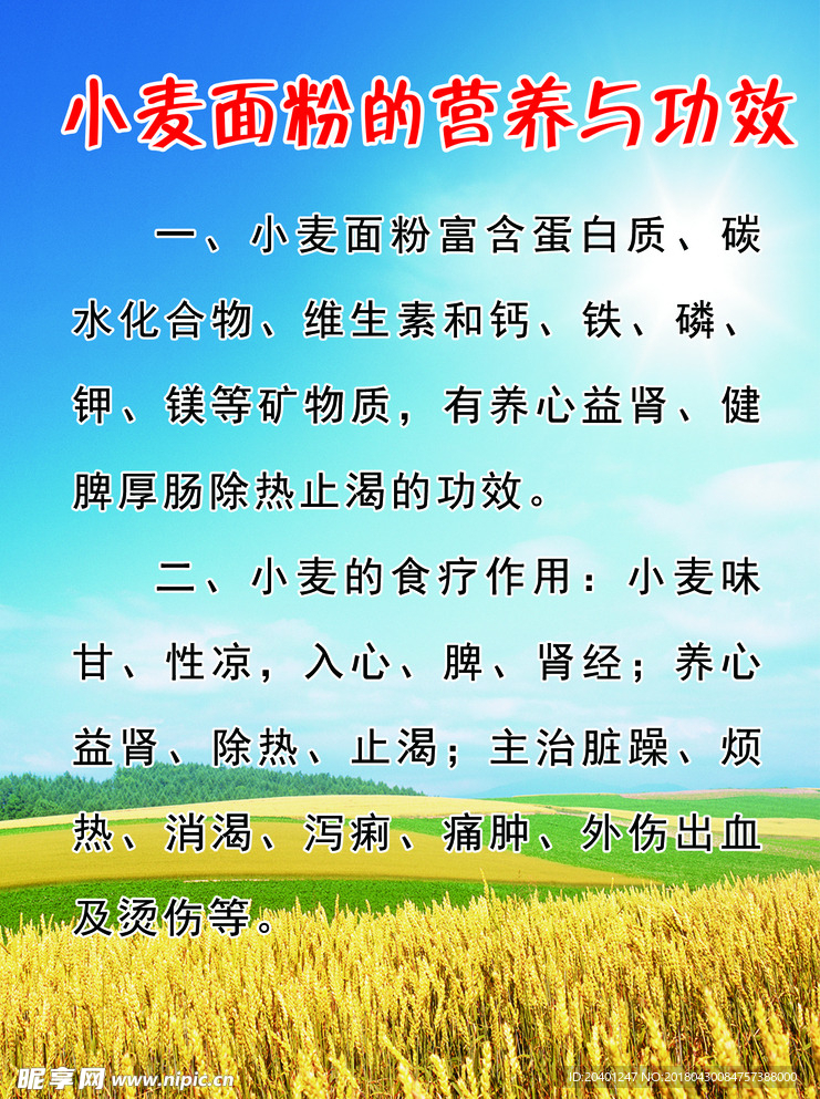 小麦面粉的营养与功效