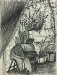 花绘素描 花插图