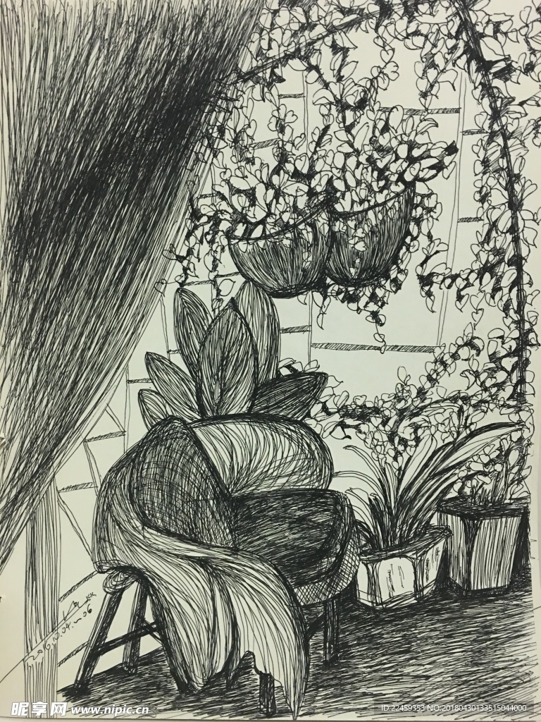 花绘素描 花插图