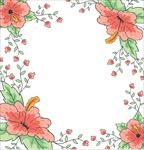 花环图片