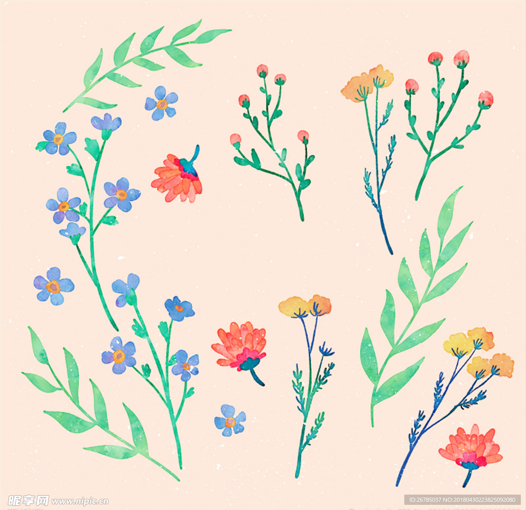 手绘植物花卉