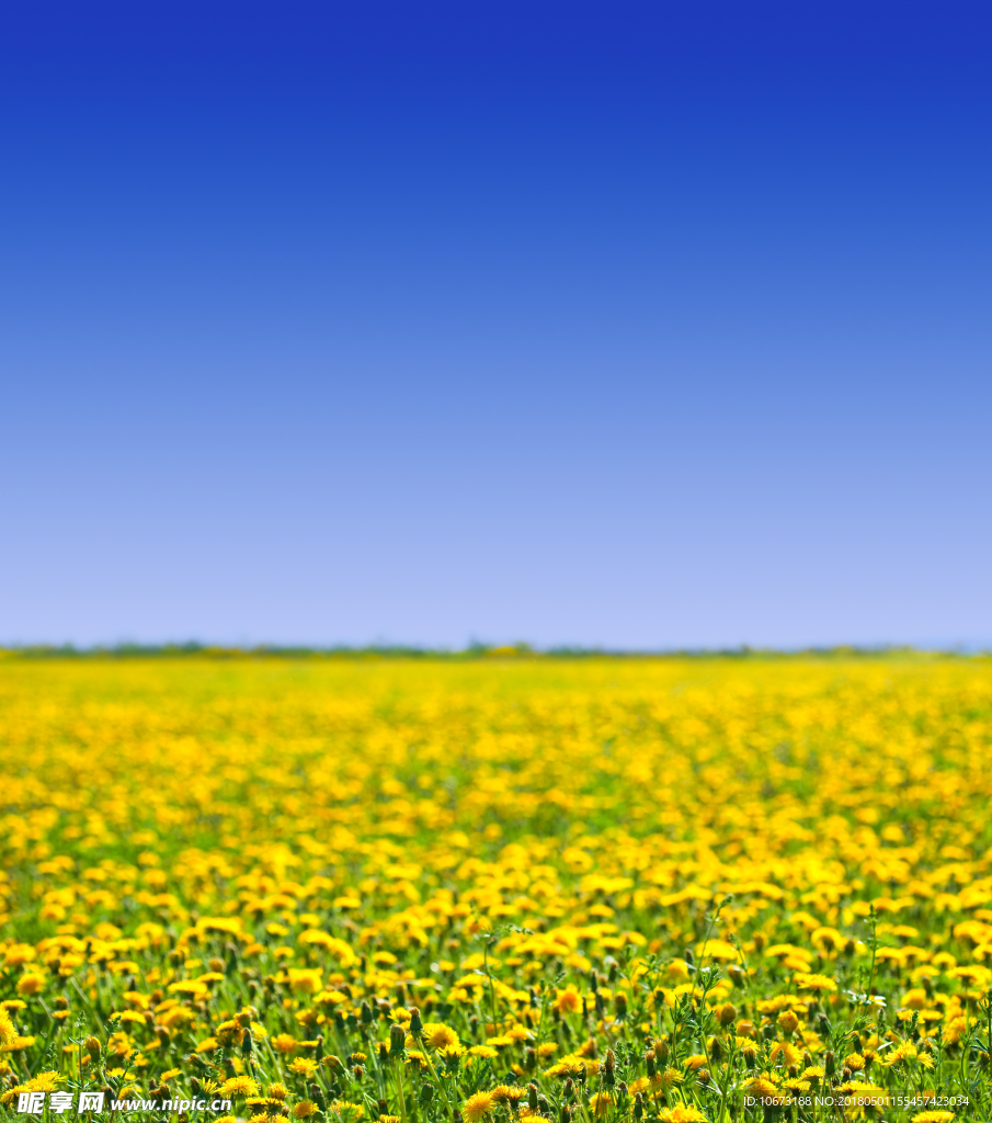 花