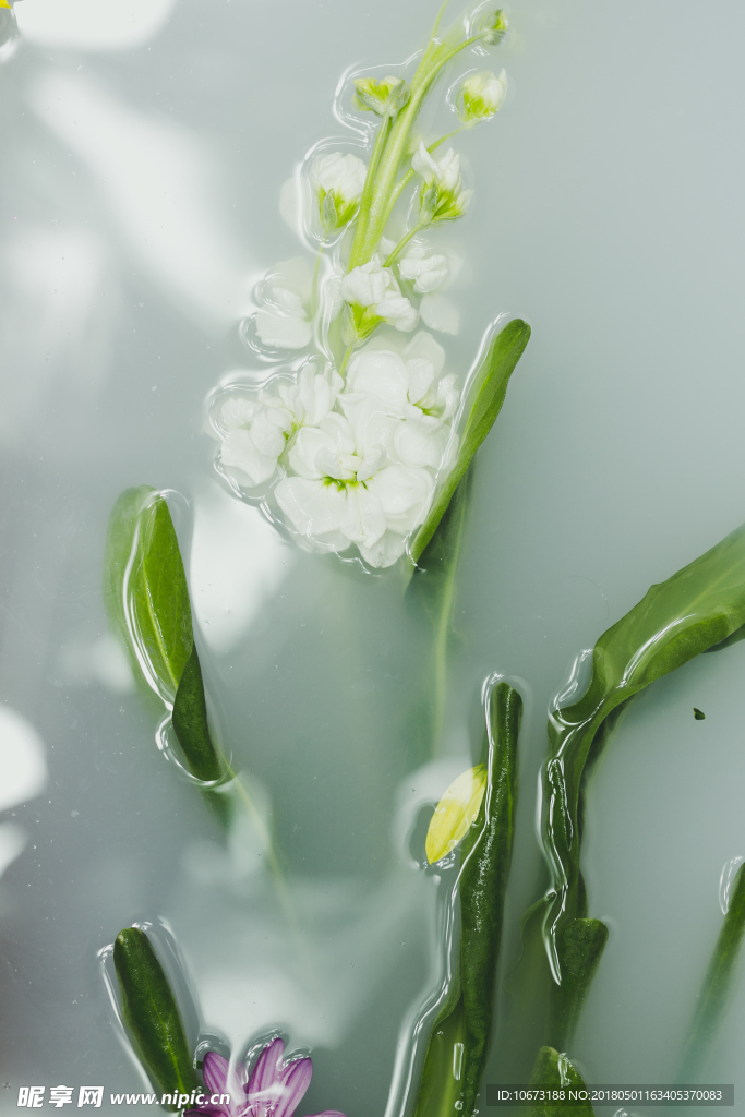 花