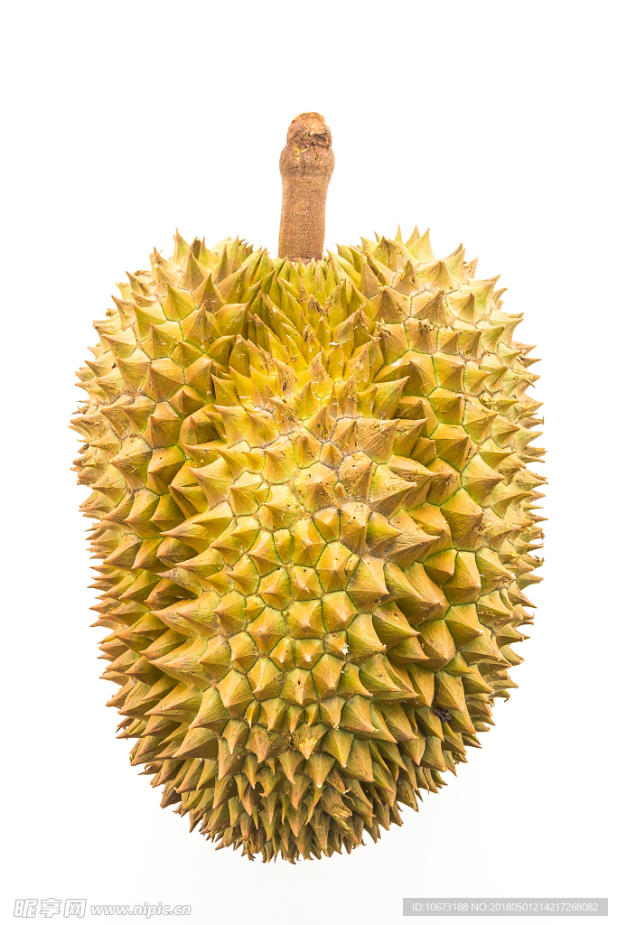 榴莲