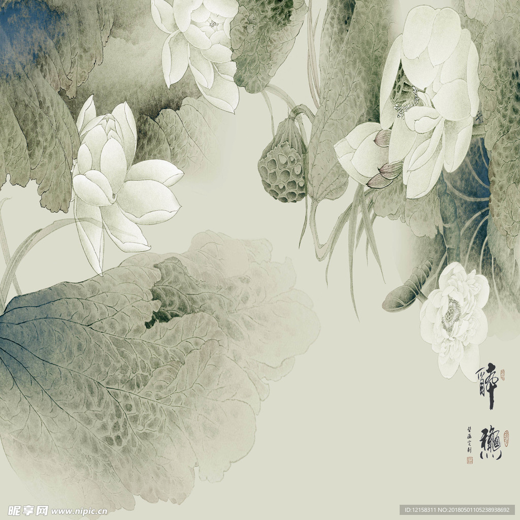 醉荷