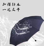 雨伞