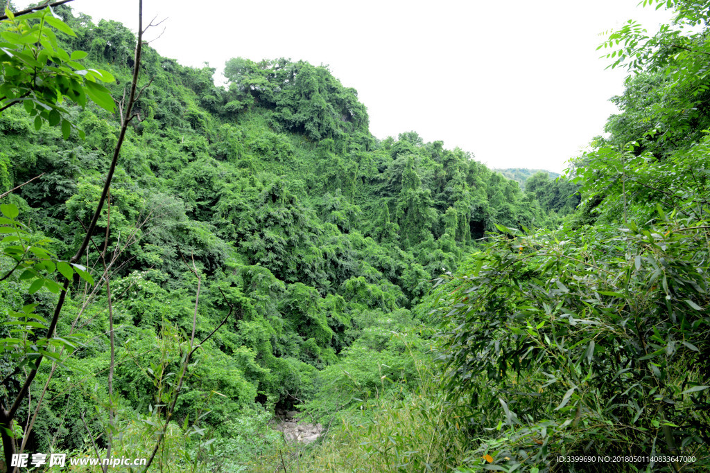 大山里乡土气息