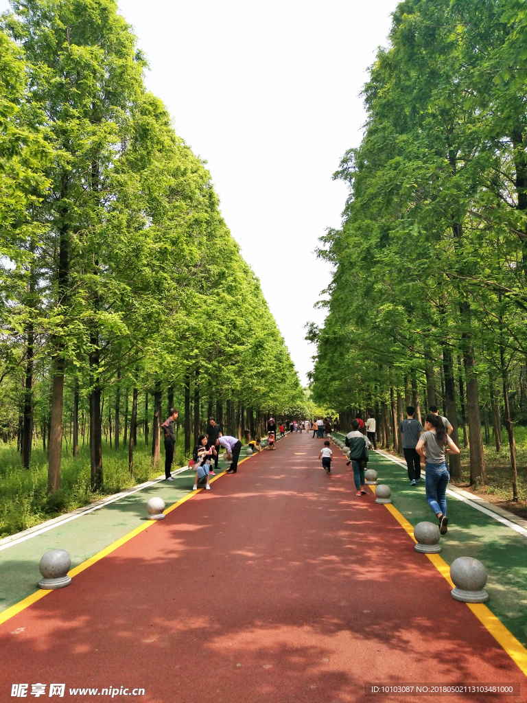 健身跑道