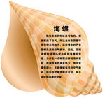 海螺