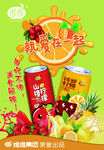 维维招贴画