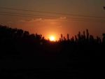 夕阳