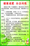 健康减肥办法问我