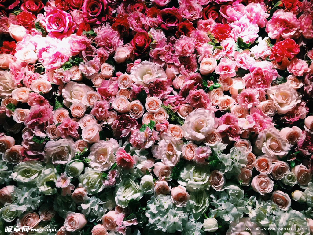 鲜花