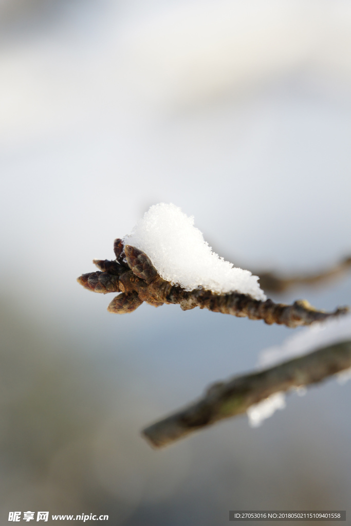 雪