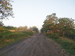 林间小路