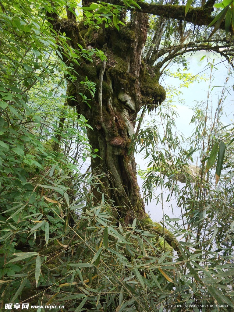 龙池风景区