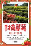 摘草莓