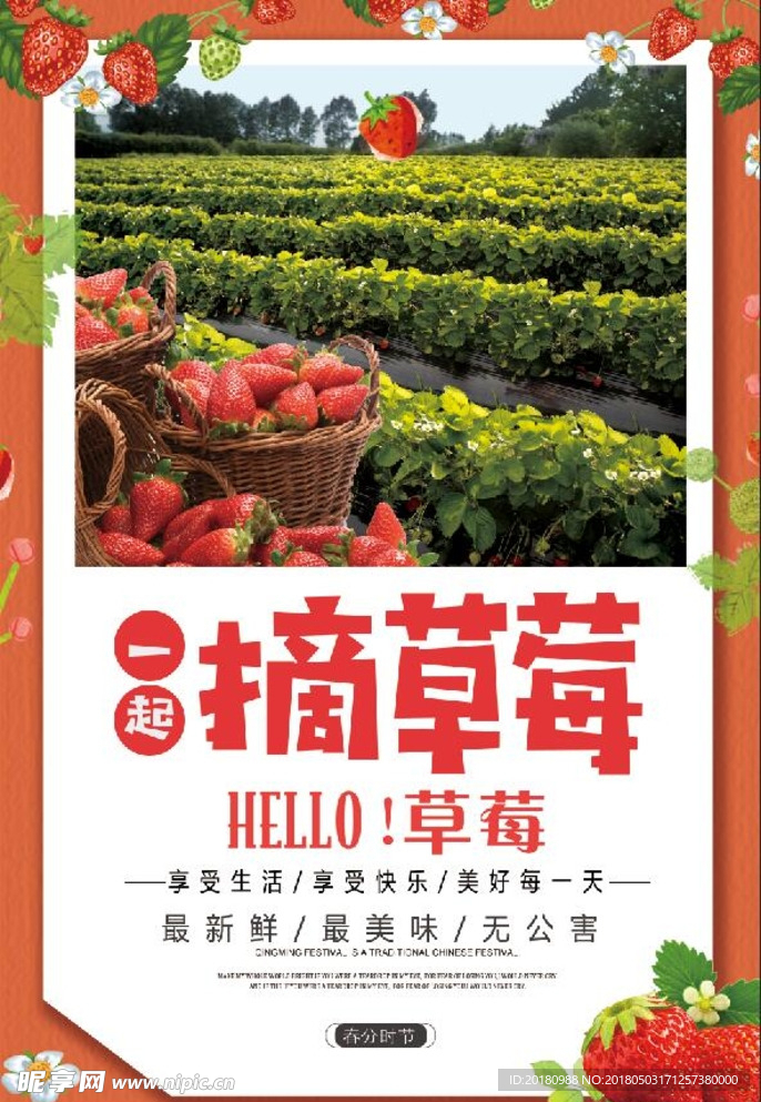 摘草莓